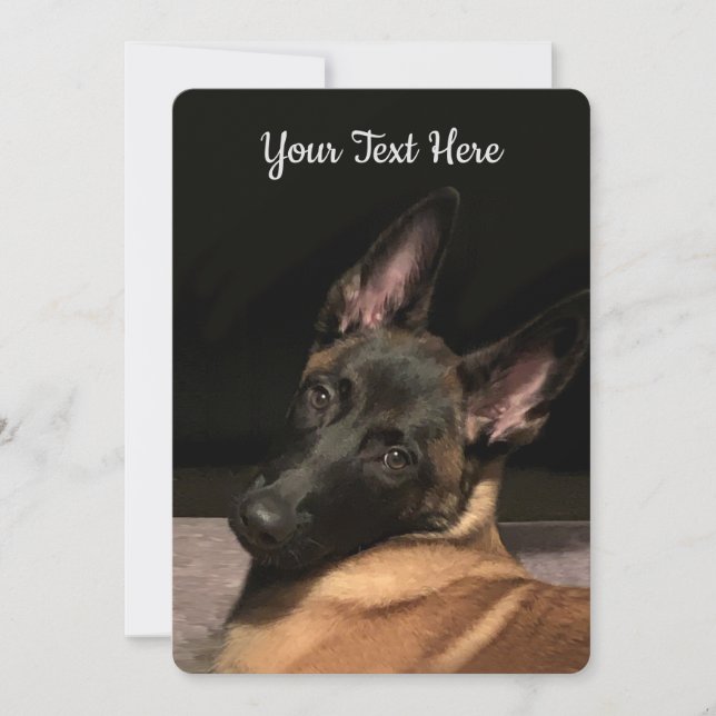 Malinois Dog (Front)