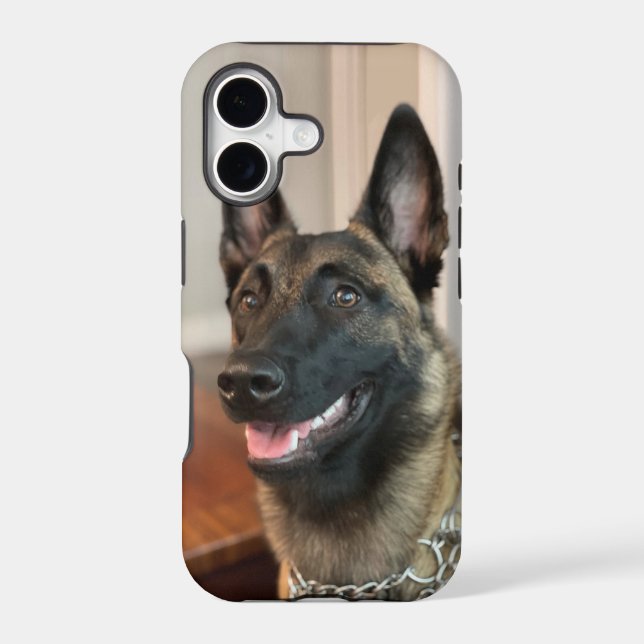 Malinois Dog (Back)