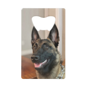 Malinois Dog Credit Card Bottle Opener