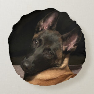 Malinois Dog Round Pillow