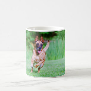 Malinois dog running coffee mug