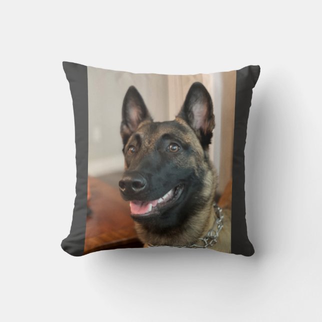 Malinois Dog Throw Pillow (Front)