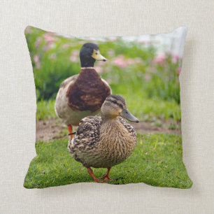 Mallard 116 throw pillow