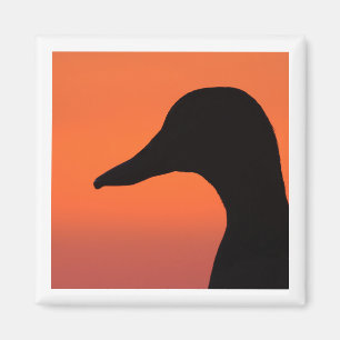 Mallard 2x2 magnet