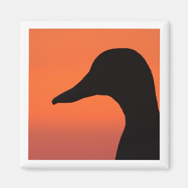 Mallard 2x2 magnet (Front)