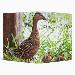 Mallard and Ducklings by Shirley Taylor Binder