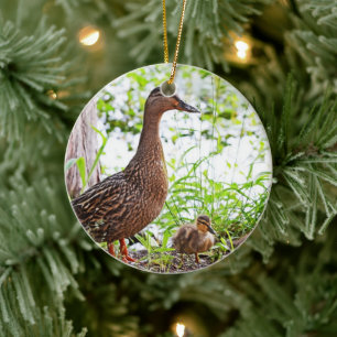 Mallard and Ducklings by Shirley Taylor Ceramic Ornament