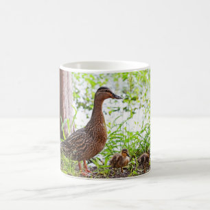Mallard and Ducklings by Shirley Taylor Coffee Mug