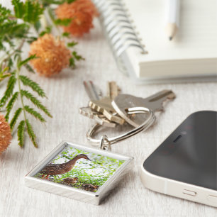 Mallard and Ducklings by Shirley Taylor Keychain