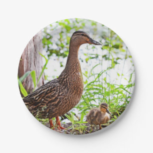 Mallard and Ducklings by Shirley Taylor Paper Plate