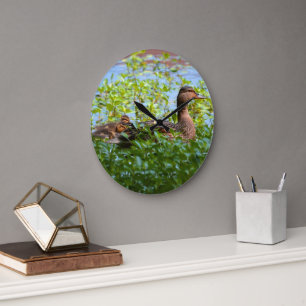 Mallard and Ducklings-Swimming by Shirley Taylor Large Clock