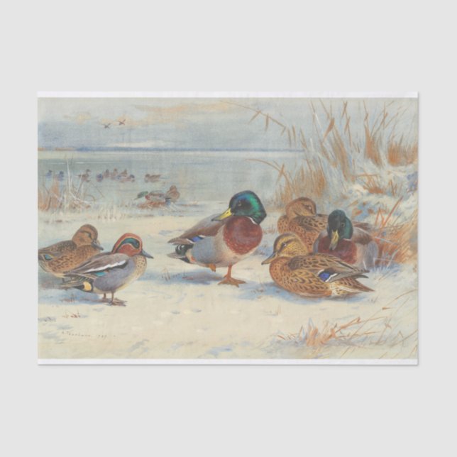 Mallard and teal in the snow, Birds Tissue Paper (Front)