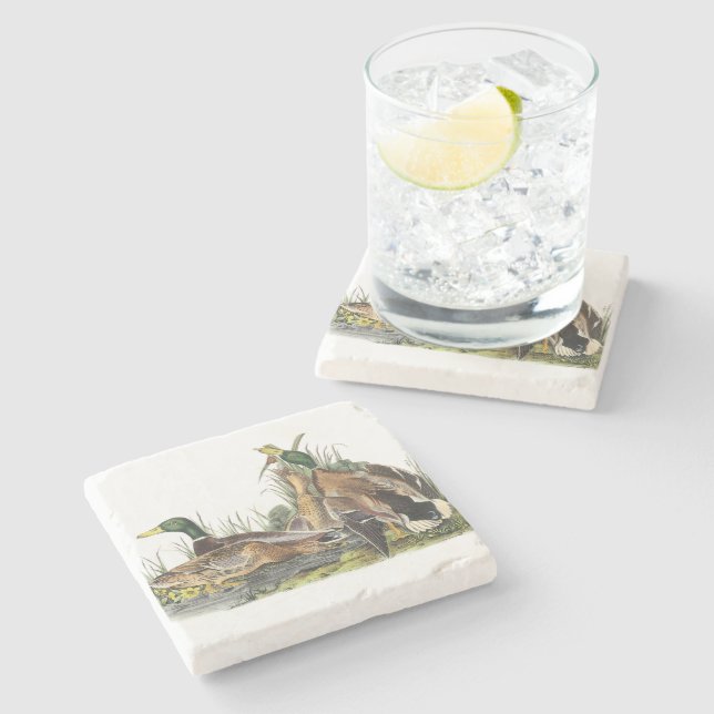 Mallard by Audubon Stone Coaster (Side)