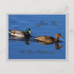 Mallard Couple Invitation