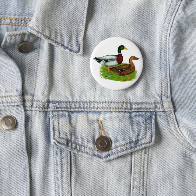 Mallard Drake and Duck 2 Inch Round Button (In Situ)