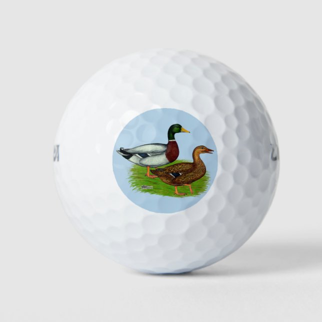 Mallard Drake and Duck Golf Balls (Front)