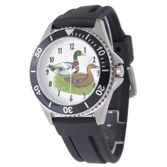 Mallard Drake and Duck Watch (Angled)