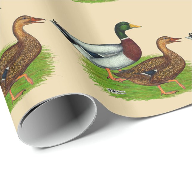 Mallard Drake and Duck Wrapping Paper (Roll Corner)
