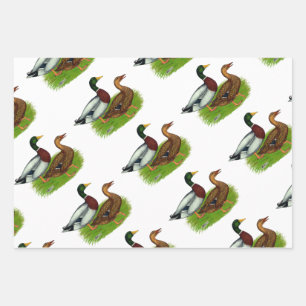 Mallard Drake and Duck Wrapping Paper Sheet