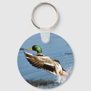 Mallard Drake Duck Keychain