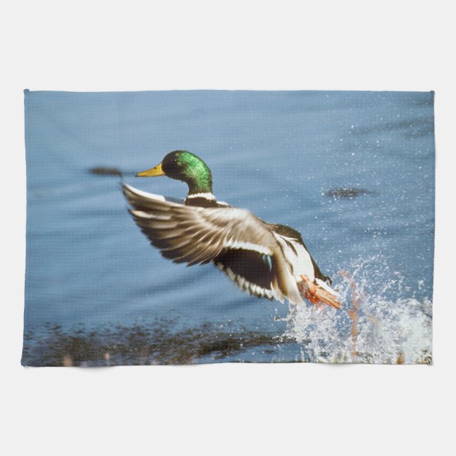 Mallard Drake Duck Kitchen Towel (Horizontal)