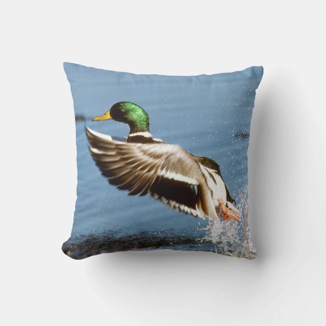 Mallard Drake Duck Throw Pillow (Front)