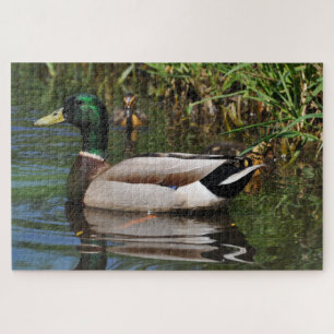 Mallard Drake Ducklings Photograph Jigsaw Puzzle