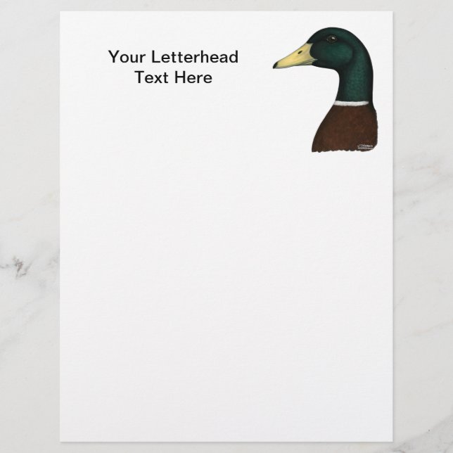Mallard Drake Head (Front)