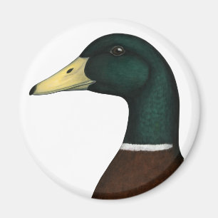 Mallard Drake Head Magnet