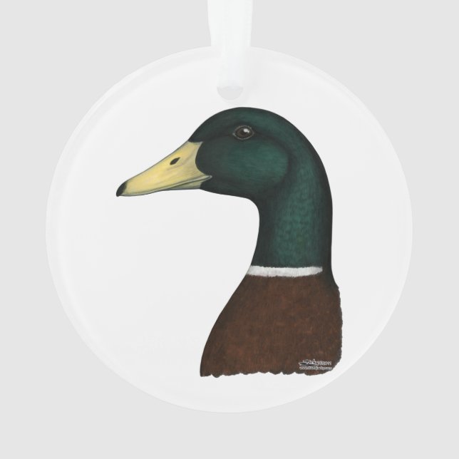Mallard Drake Head Ornament (Back)