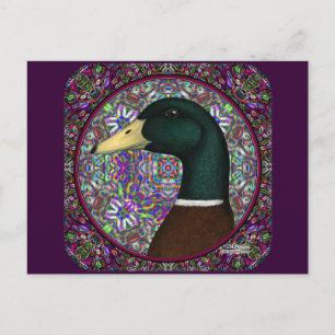 Mallard Drake Mosaic Circle Postcard