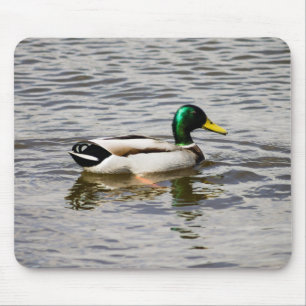 Mallard Drake Mouse Pad