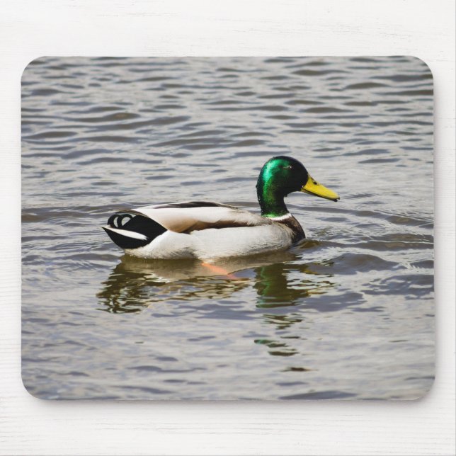 Mallard Drake Mouse Pad (Front)