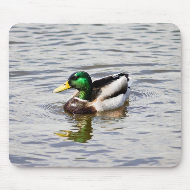 Mallard Drake Mouse Pad (Front)