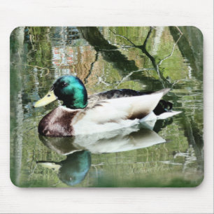 Mallard Drake reflections Mousepad- personalize Mouse Pad
