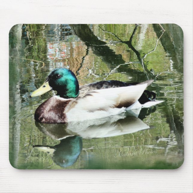 Mallard Drake reflections Mousepad- personalize Mouse Pad (Front)