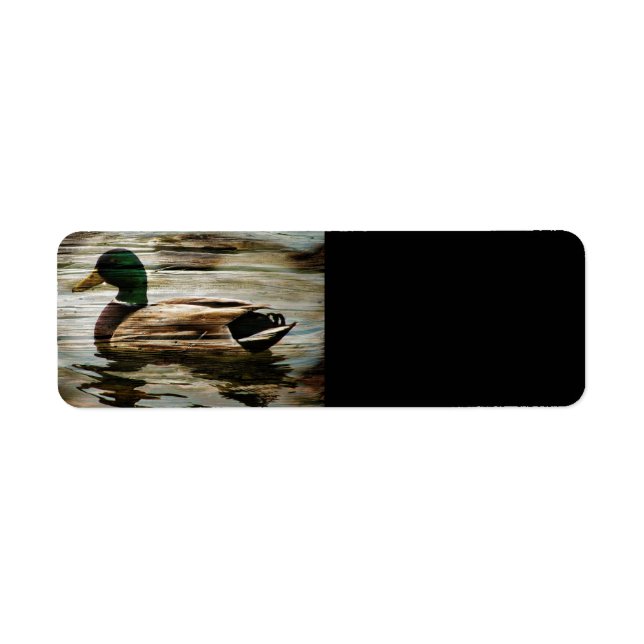 Mallard Duck (Front)