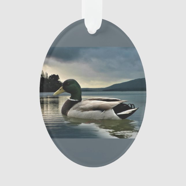 Mallard Duck (devant)