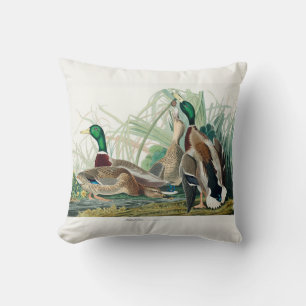 Mallard Duck, 1834, From the Birds of America Throw Pillow