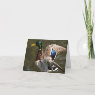 mallard duck about to fly note card