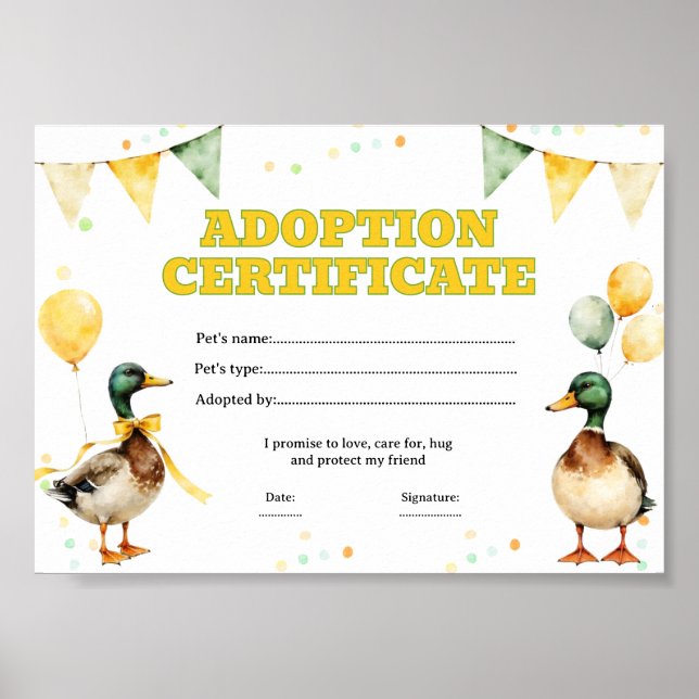 Mallard Duck adopt a pet colouring certificate Poster (Front)