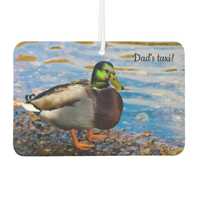 Mallard Duck Air Freshener (Front)