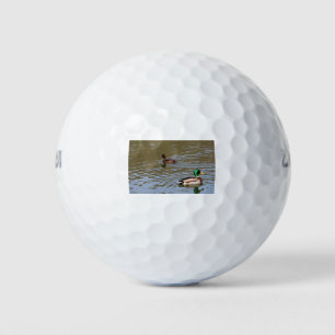 Mallard duck and tufted duck on a river golf balls