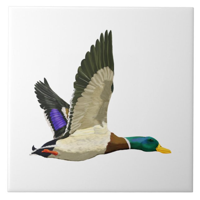 Mallard Duck Artful Tile (Front)