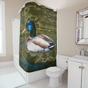 Mallard Duck Artistic Portrait