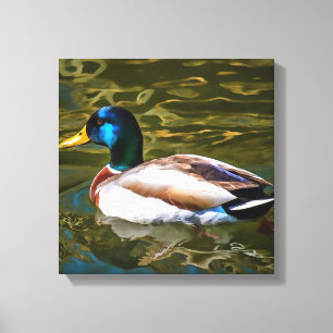 Mallard Duck Artistic Portrait Canvas Print