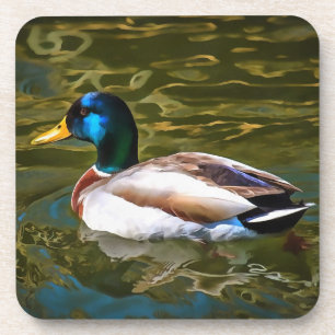 Mallard Duck Artistic Portrait Coaster