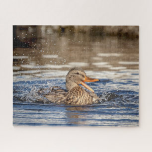 Mallard Duck at Downing Park Jigsaw Puzzle