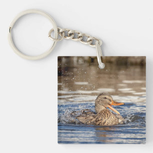 Mallard Duck at Downing Park Keychain