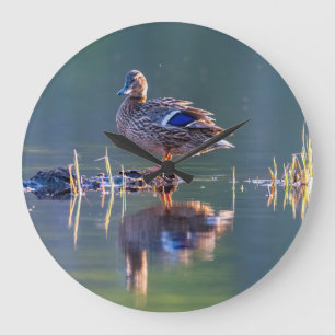 Mallard duck at sunset large clock